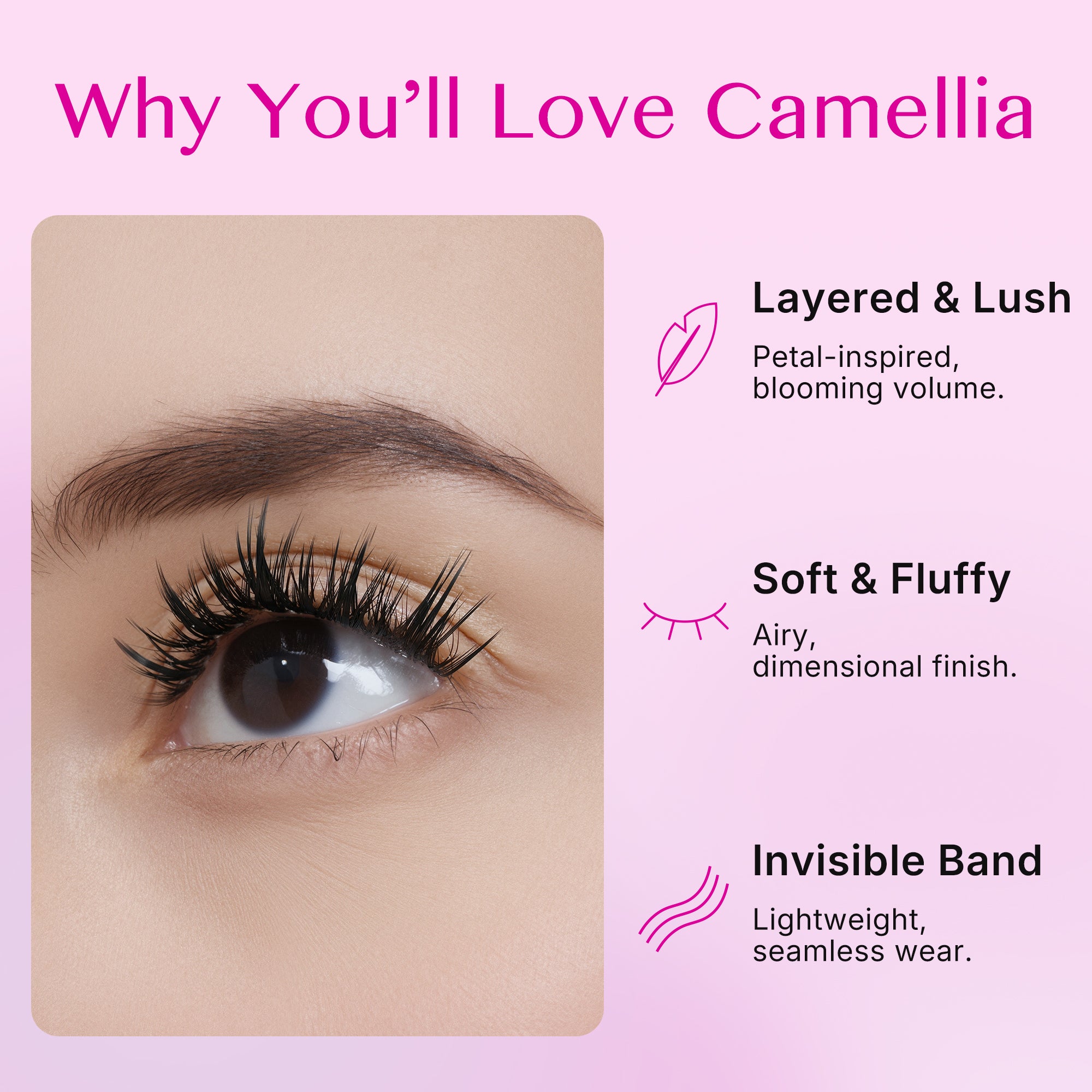 Camellia