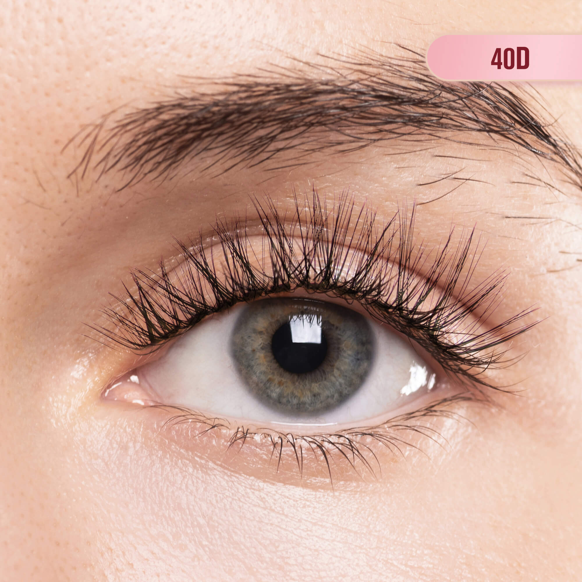 UltraVolume Brown Lashes